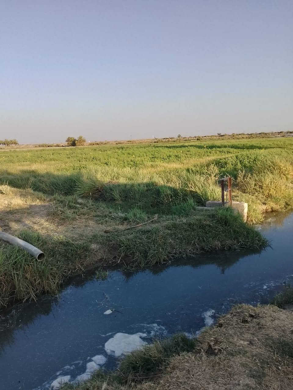 اخويه العزيز جايبلك عرض ابد ميضيع ✅
جايبلك 4 دوانم سعرهن كلهن ب 34 فرصه ذهبيه
يعني ال 5 دوانم شلعه ب 34 مليون فقط 
 طابو سند 25 اصولي على شارع 10 مترات 
الدونم الواحد 50×50 مربع منطقة امينه وسكينه
وزراعيه العنوان تاجي مقابيل مدينه سبع البور 
منطقة الشيخ عامر بلعيساويه خلف السور كامله
خدمات تفتر المنطقة كلهه وما تلگه بهيج سعر
والارض طابو سند 25 فتح بيان بأسم المشتري
 تواصل واتساب متوفر *********** ✅
