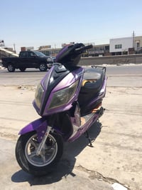سكنس فحل • ١٤٠ • اوراق كامله