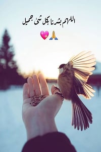 بيت للبيع • دار للبيع • عقار للبيع • منزل للبيع • طابو زراعي • نادر مح...