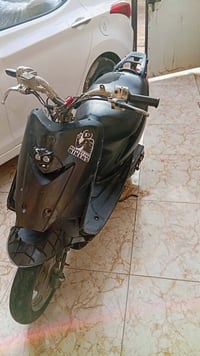 دراجة عصفورية • مكينة ناعمة • كوت انوار الصدر