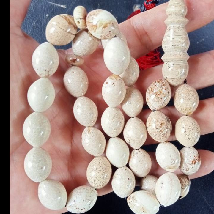 Tasbih amber for sale WhatsApp 0812-8477-2732


**إذا كنت صاحب هذا الإعلان وتريد حذفه لأي سبب، رجاءا أرسل رسالة إلى الدعم الفني**