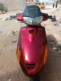 فراشه • فحل • نضيفه