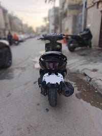 سكنس فحل • دراجه نضيفه • بغداد الحريه