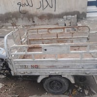 ستوتة ام طير • بعقوبة المفرق • بدون اوراق