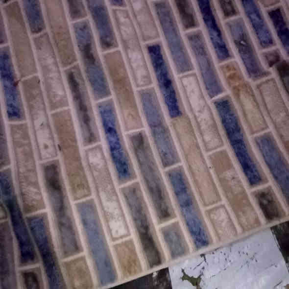 اسلام عليكم كاربد مستعمل نضيف مابي اي ضرر القياس طول 4العرض 3 سعر 25مكان مسيب صوب  خلف المدرسه الحمدانيه ‭0772 484 3760‬
