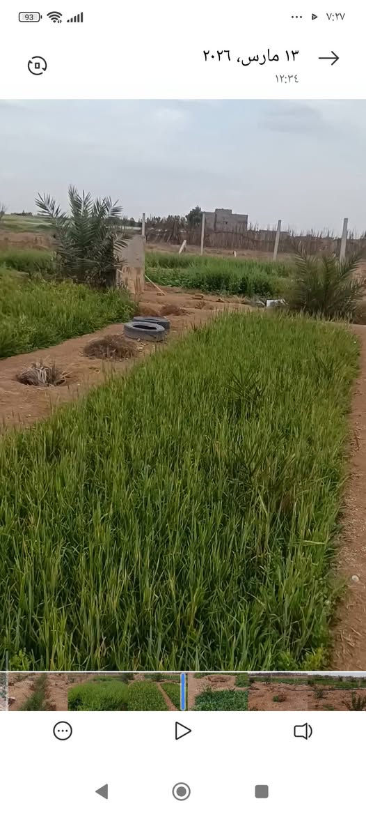 3دوانم مكان الزبير منطقة الدواجن السعر 45 وبيهن مجال تحتوي على ماء ارتواز كهرباء تبعد عن الشارع التبليط 30 متر 
مبروعه فسائل نخل متنوع وبيهن تقريب 7 برحيات قسم منهم محمل وباقي النخل منوع سدر مركب ***********
