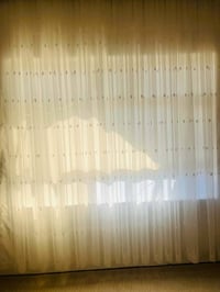 ستارة • ٢٫٨×٢٫٥م • توصيل