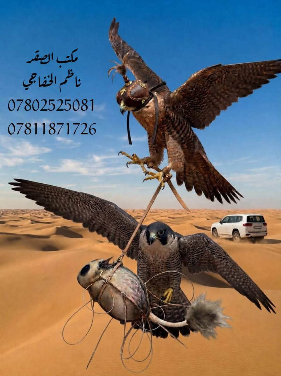 📣يعلن مكتب الصقر بأدارة ناظم الخفاجي عن وصول وجبه جديدة
 من مستلزمات الصيد.جديد نكل شكل الجربوع
بشرى ساره .
   الى جميع الصقارين ومحلات الصيد في العراق .🦅.
 تخفيضات،   تخفيضات،   تخفيضات،
  درك  بانواعه جمله السعر الف دينار فقط مفرد الف وربع 
  نكل بأنواعه  ١٥٠٠ دينار فقط درك عراقي واير سعره 4
العنوان: النجف الاشرف . خان المخضر القديم.
 الخان سنتر متعدد الطوابق قرب علوة السمك.
يوجد توصيل الى كافه أنحاء العراق وكردستان 
 اجور التوصيل 5 الف فقط .🚕🌎
للاستفسار مراسلة الوتساب فقط
📞واتساب  ***********…***********
علمآ توجد اسعار مدعومه للجمله واصحاب المحلات
