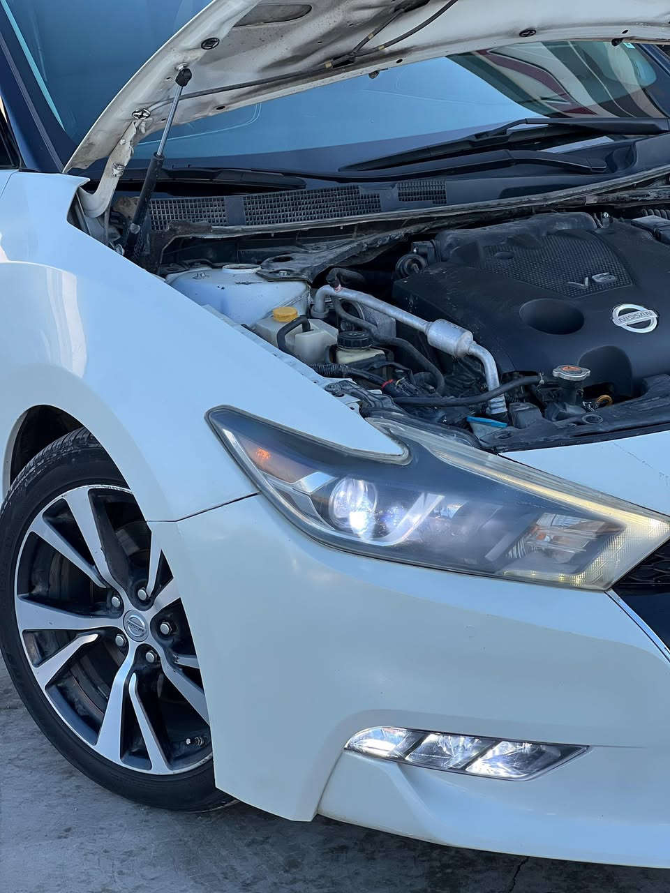 سلام عليكم 👋👋
بسعر مناسب 🔥🔥
للبيع نيسان مكسيما 2017    V6☠️
سياره فول موصفات ما عدا فتحة فقط 
موصفات سياره 
~ كشنات جلد + كهرب 
~ تدفئه بل مقاعد 
~ بصمة تشغل 
~ بصمة ابواب 
~ إشارة بل مراية 
~اشارة ترحيب عند دخول 
~ كشنات كهرب 
~ تشغيل عن بعد 
~ حساسات بل دعامية امامي و خلفي
~ قطعتين تبريد 
~ شاشة تبريد + تبريد منفصل 
~ شاشة تدعم نظام خرائط + كار بلي
~ سياره بيها موصفات خير الله 

~ ضرر سياره 3 قطع بدون دواخل و بدون شواصي 
*********** : مصطفى امير ✨
