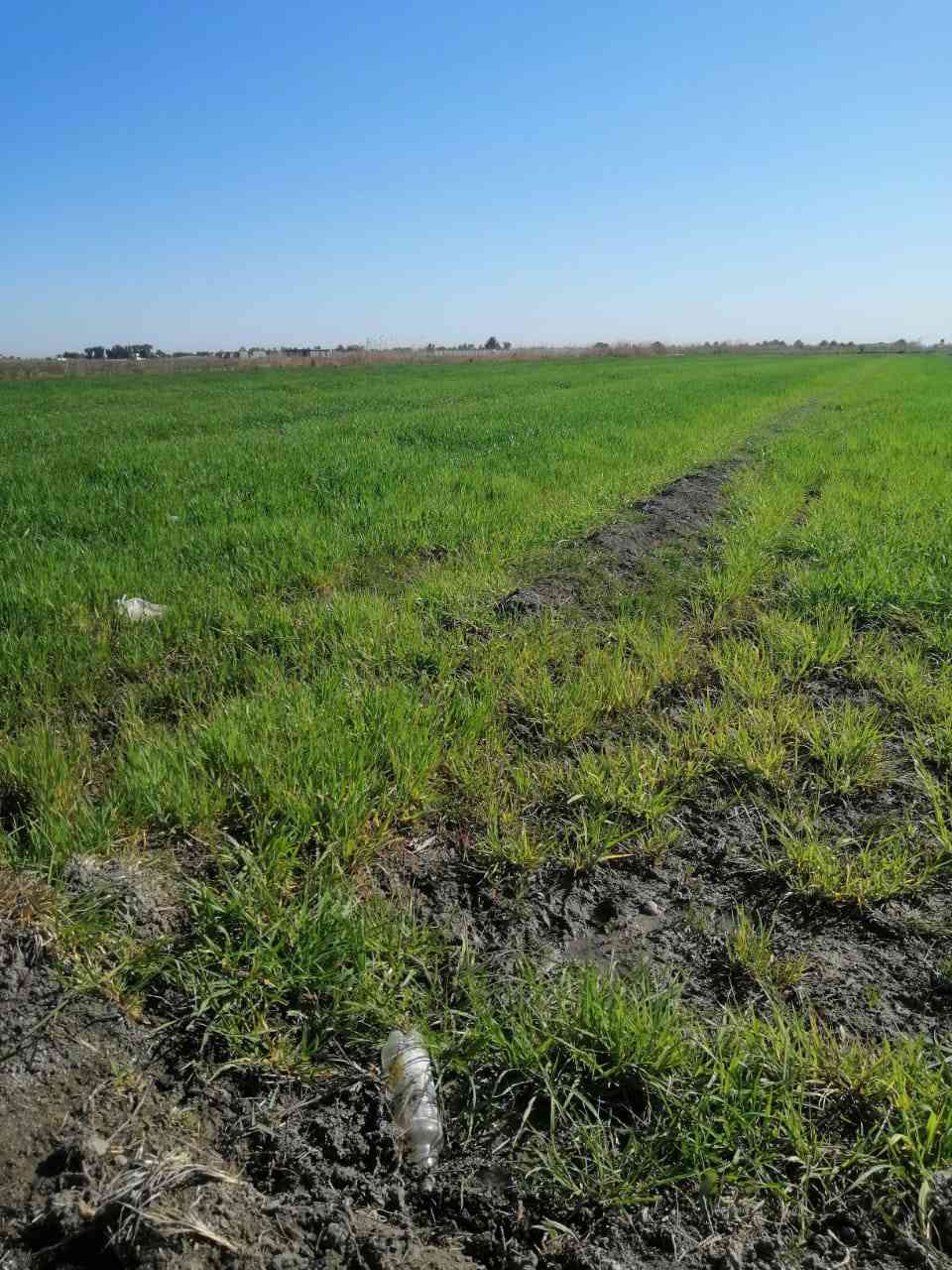 قطعه ارض بسعر مناسب✨
السلام عليكم ارض للبيع 3 دونم✨عبور جسر سبع البور الشيخ عامر في منطقة العيساوية
 تبعد عن سوق الشيخ عامر 20 دقيقه طابو زراعي سند25 على طابو الفلوجه
 فتح بيان بأسمك متوفر كافة الخدمات من كهرباء وماء وقريبة على السكن
 سعر الدونم 8 ونص وبيهه مجال وتباع تقطيع حسب الطلب

 للاتصال،***********واتساب
‏
