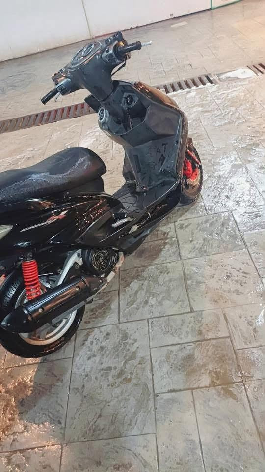السلام عليكم سكنس فحل    كابريتر سعر 600بيه مجال بصيط حك جيه   مكاني بغداد حي الجهاد ***********
