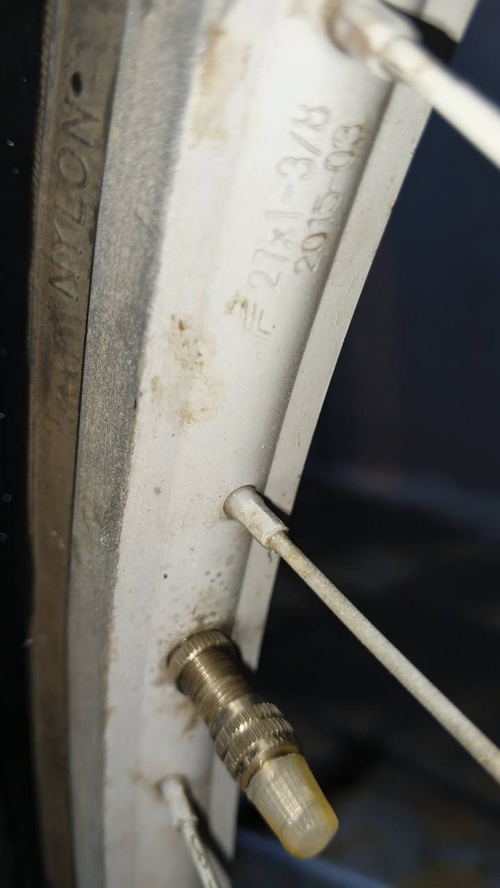 السلام عليكم بايسكل سياحي ٢٧ للبيع
البايسكل مال تعمير بيه مداگر لون اسود وصينية جوكر وكفات وستيرن كلهن جدد الويل الكدام موديل ١٥ فورماج والورا موديل ٢٤ نقصه ضب سيامة الويل الورا وشد الكفة اليسار  والمدكر الورا وشد الصينية ولزكات ويدات مايكلفن ١٠ الاف السعر ٦٥ وبيه مجال المو شراي لا يكسر بالسعر التواصل خاص


**إذا كنت صاحب هذا الإعلان وتريد حذفه لأي سبب، رجاءا أرسل رسالة إلى الدعم الفني**