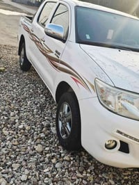 فلاونزه • ٢٠١٥ • كفاله عام