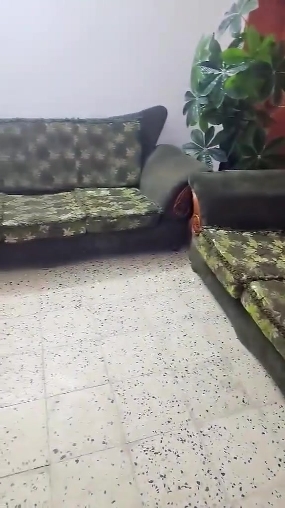 تخم وديوان ب200  مستعجلين


**إذا كنت صاحب هذا الإعلان وتريد حذفه لأي سبب، رجاءا أرسل رسالة إلى الدعم الفني**