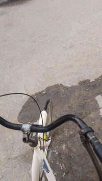 باسكل كلوف • حجم 26 • طماطي