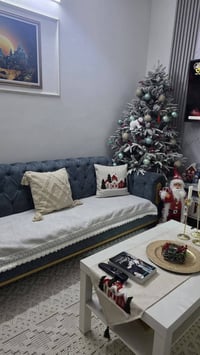 تخم تركي نظام سرير قلاب 10 مقاعد مكانه بغداد السيدية سعره 450 وبي مجال...