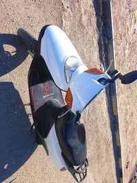 سبيسي ياباني • كوت الزهراء • شغاله