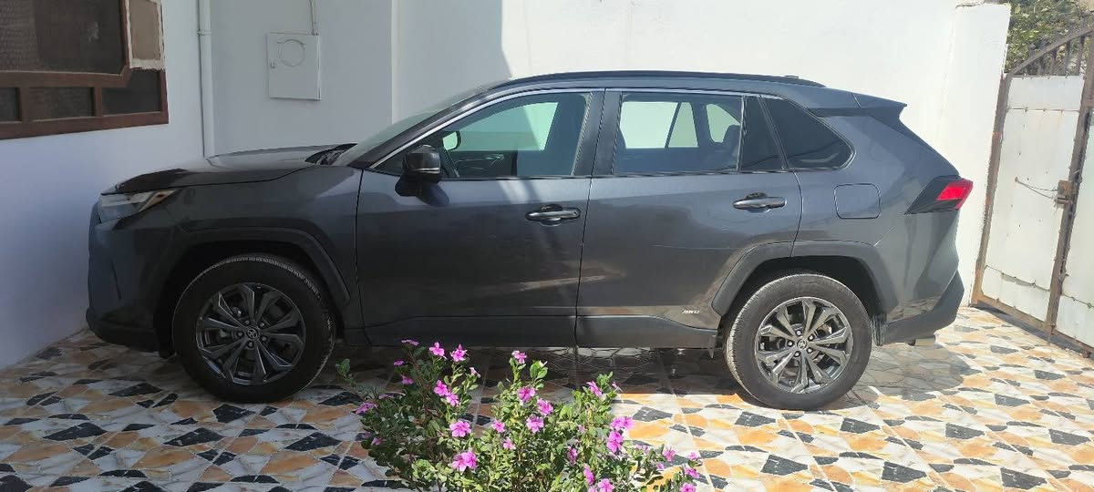 السلام عليكم ورحمه الله وبركاته 
السعر 250 وبي مجال 
راف فور 2022 هايبرد وارد امريكي Xle بريميوم ماشيه 46 الف 
السياره بأسمي وتحويل مباشر + بطاقة بنزين 
الضرر  جاملغ جهة السايق ضرر سطحي خفيف بدون دواخل وبدون ايرباك ، حافة باب السايق تعديل وكارت بمقدار اصبعين وشخط باب خلف السايق باقي كما هو  ومبين بالصور و صور الحادث موجود 
المواصفات معروفه و واضحه
فتحه سلايت 
رادار امامي وجانبي و حساسات كل الجهات 
اوتو بريك ، النقطه العمياء ، تحديد مسار 
لايت خمس عدسات و ال اي دي 
بگلايت ال اي دي ، اشاير بالمرايات
كشاف ضباب ( بلاجكتور ) 
كشنات جلد + تدفئة الكشنات و الستيرن + كشن كهرباء + ميموري خزن حركة الكشن 
ثلاث انظمة قياده تحكم ماوس ( نورمال ، ايكو ، سبورت )
هاند بريك بصمه + اوتو هولد + ايفي مود 
شاشه كبيره لمس وتحكمات تبريد وتدفئه وصوتيات وتحكمات الستيرن وتحديد السرعه والتحكم بالنظام وازرار التحكم بتدفئة المقاعد والمقود 
فرشات ارضيه بلاديه 
صندوق شفط كهربائي 
نظام التشغيل بصمه ، ابواب بصمه
تايرات جديده 
ويل كروم مميز وحلو حتى السبير ويل كروم 
مواصفات Xle برميوم معروف فول  و واضح بالصور 
السياره نظيفه وجديده وبدون عيوب او نقوصات تاخذ السياره وتفحص وين ميعجبك داخلي وخارجي وكير ومحرك ونظام الهايبرد وكهربائيات كله شرط 
مكان السياره كركوك 
***********
250 وبي مجال 
التواصل من خلال الاتصال برقمي او واتساب او مسنجر
