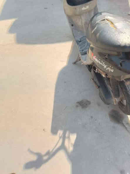 دراجه بيجي شغاله محرك ناعم سعره 140بيه مجال لشراي مكان سوق الشيوخ ‏‪***********‬‏ سوق الشيوخ
