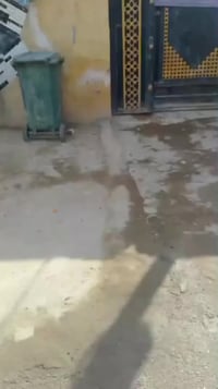 للبيع 07810179660