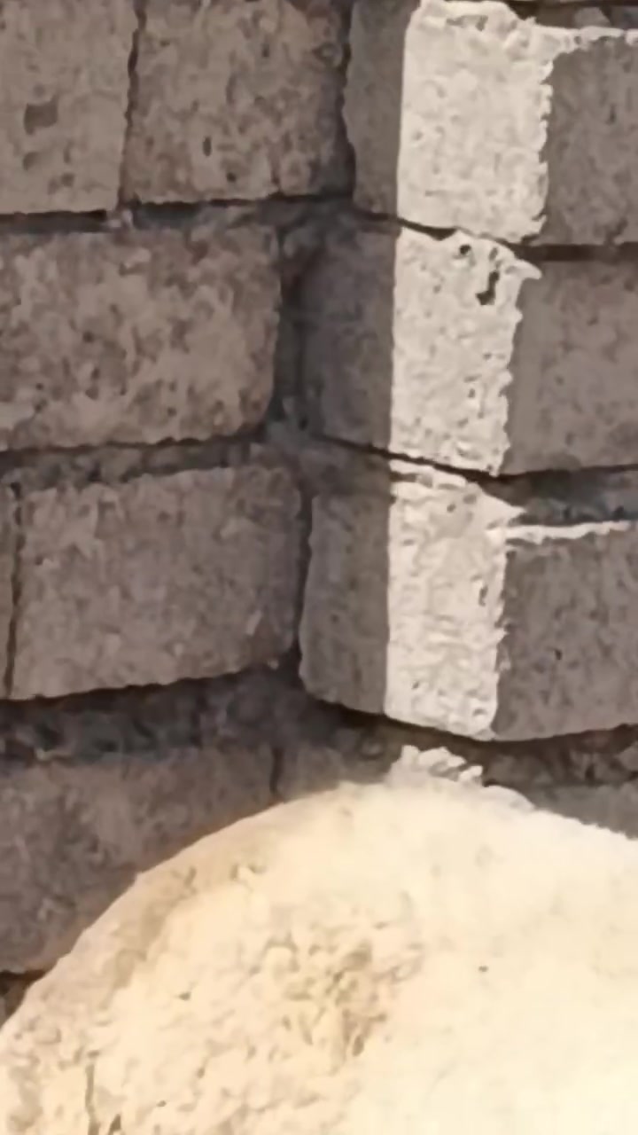 سلام عليكم اخوان نعجه للبيع شرط النصاحه
 نصاحه 3ايام نعجه حانيه سن وشطر الاستفسار
 .
  ***********.  //   ***********
