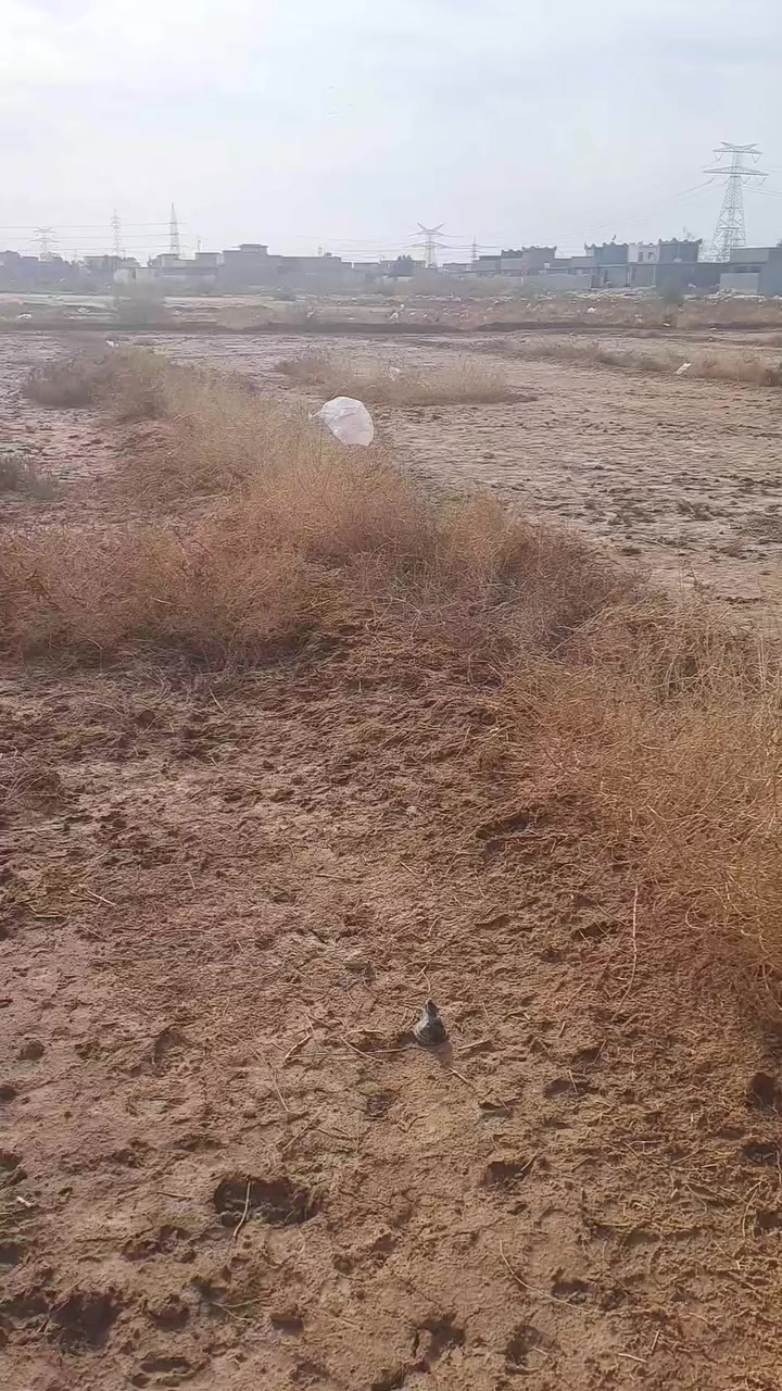 السلام عليكم يوجد.اربعه دونم ونص مقابيل النازحين خط ثالث
الشراي خاص كل الخدمات متوفره ع شارعين رقمي ‎ ***********بيه واتساب
