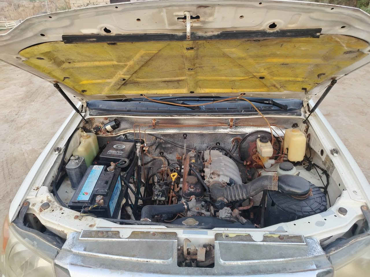 سلام عليكم(كفاله عامه من كلشي)
بيكم كنو للبيع مديل 2011 لاضربه ولاصبغ ولاخياس

محرك وكير وشاصي كهربايات تخم تايرات بجيس جاهزه

رقمه (بغداد) تحويل مباشر السعر 55 وبيه مجال لشراي

اتصال مكانه ديوانيه *********** سياره مال جناي
