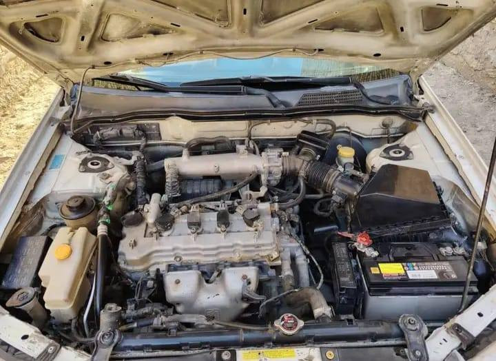 السلام عليكم نيسان صني بدي كوري موديل 2012 محرك 1600 رقم بغداد مداور ثاني يوم السعر 100 وبيها مجال قليل
الرقم ***********
بيها صبغ بالقبق مال الجاملغ الايسر كد شبر
جاهزه من كلشي ترهم بيع ومراوس ديوانية, القادسية
