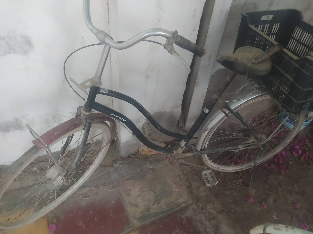 باسكلات 2 للبيع المكان بابل القاسم 
ثنينهن ب75


**إذا كنت صاحب هذا الإعلان وتريد حذفه لأي سبب، رجاءا أرسل رسالة إلى الدعم الفني**