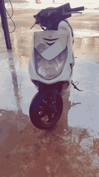 سلام عليكم سكني فحل للبيع كلشي شغال بيهة هندر وسلف كهربائيات شغاله تجي تفحص وتاخذ سعر 300 ويهة مجال ***********
