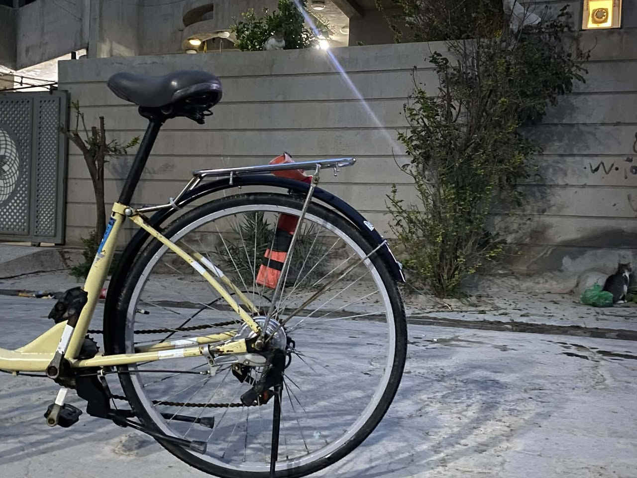 السلام عليكم بايسكل ياباني حجم 26 كير وحساس بشرط الحساس شغال والكير نمره نمره شغاله مابي اي عيب بشرط وكافيه وسط جيديه وكافيه خلفيه جديده كشن قلاب  البيع السعر 80 وبي مجال 
العنوان كركوك دوميز
 رقم الهاتف ***********
