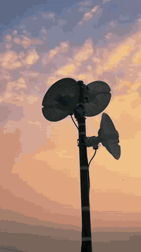 استخدام نانوات الرويجي في قضاء كويسنجق / أربيل
ضمان استبدال 3 سنين 
RG-AIRMETRO 460F / 145.000 الف سعر الزوج 
RG-AIRMETRO 460G / 170.000 الف والتوصيل مجاني 
 ( Davo Tech ) موزع الرسمي لمنتجات الرويجي في العراق 

📞 *********** واتس اب 
📞 *********** واتس اب 
📞*********** واتس اب 
📞*********** واتس اب
