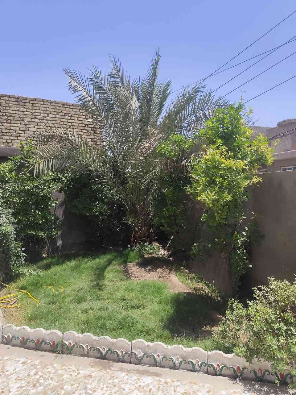 بسم الله الرحمان الرحيم
السلام عليكم بيت طابو صرف للبيع حي الرضا الثاني بل قرب من مدرسه غريب الطوس المساحه 250م متر واقع حال 280م تفاصيل البيت 6 غرف نوم صاله عشره*اربعه مطبخ سبعه*اربعه كلدور سبعه*اربعه غرف النوم قياسات مختلفه الطابق الثاني للعلم نقص سقف ثانوي فقط اربع غرف نوم +كلدور +صحيات كراج سياره حديقتين للاستفسار الاتصال عله الارقام التاليه: 
***********
*********** ابو علي
