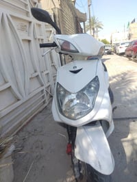 سكنس فحل • نوزل • ١٤٠