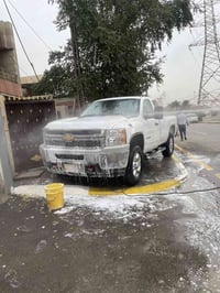 2012 فحل للبيع او مراوس بتك قمارة استفسار 07729253412