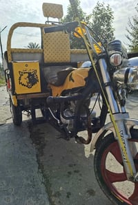 ستوتة ام الطير فحل موديل 20 مكفولة من كلشي شاصي ركبة  كاملة مكملة  سعر...