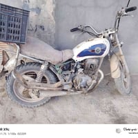 جنى للبيع كامله أوراقه ونضيف بس متروك ضامه ١٧٥  الخالص 07727604373