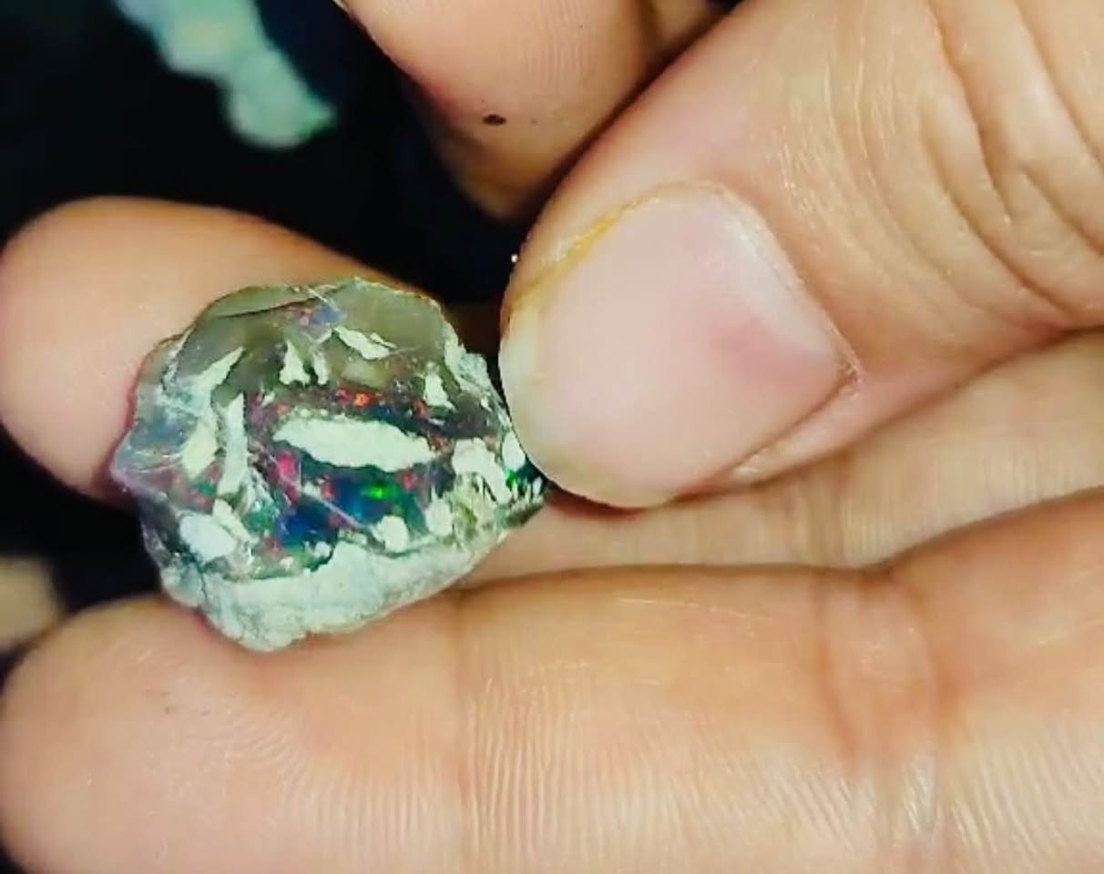 حجر اوبال اثيوبي خام طبيعي فاير قوي سعر مناسب ناصرية, ذي قار


**إذا كنت صاحب هذا الإعلان وتريد حذفه لأي سبب، رجاءا أرسل رسالة إلى الدعم الفني**