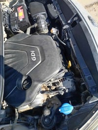 وارد امريكي • بدون ضرر • رقم ديالى