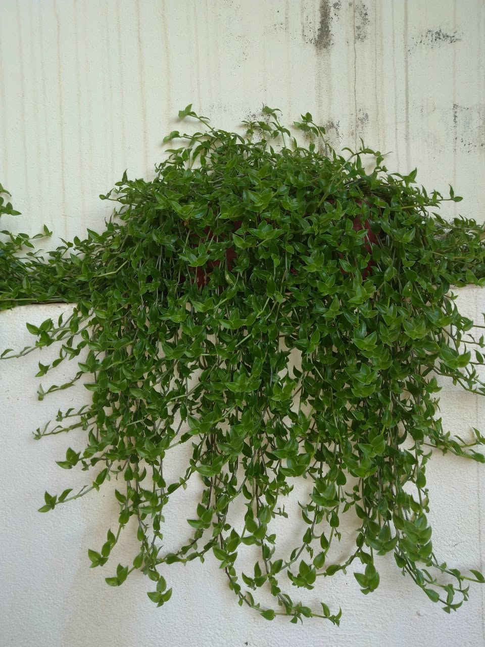 بۆ نرخ کۆمێنت بکە کامەت ویست ،گەیاندنیش هەیە


**إذا كنت صاحب هذا الإعلان وتريد حذفه لأي سبب، رجاءا أرسل رسالة إلى الدعم الفني**
