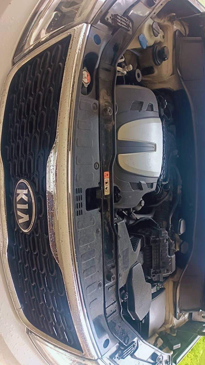 سلام عليكم كيا سورنتو للبيع موديل ٢٠١٤ خليجي مكفولة من الضربة والصبغ والتبديل محرك سته سلندر سيارة عل وضع الشركة بأسمي رقم بغداد تبريد ثلج ٣ قطع سبعة راكب محرك وكير وميكانيك جدد كفاله وحتى البدي سيارة مكفول كفاله عامة شرط الفحص دوشمة جديدة تخم تاير قبل سبوع شاد سيارة نص فول مري شفط أشاير بالمري سيارة ماشية شي قليل أستخدام شخصي من الدوام للبيت فقط سيارة خير من الله أسف عل إطالة اخوان سعر ١٩٠ $ وبيها مجال للطيبين / *********** بغداد, العراق
