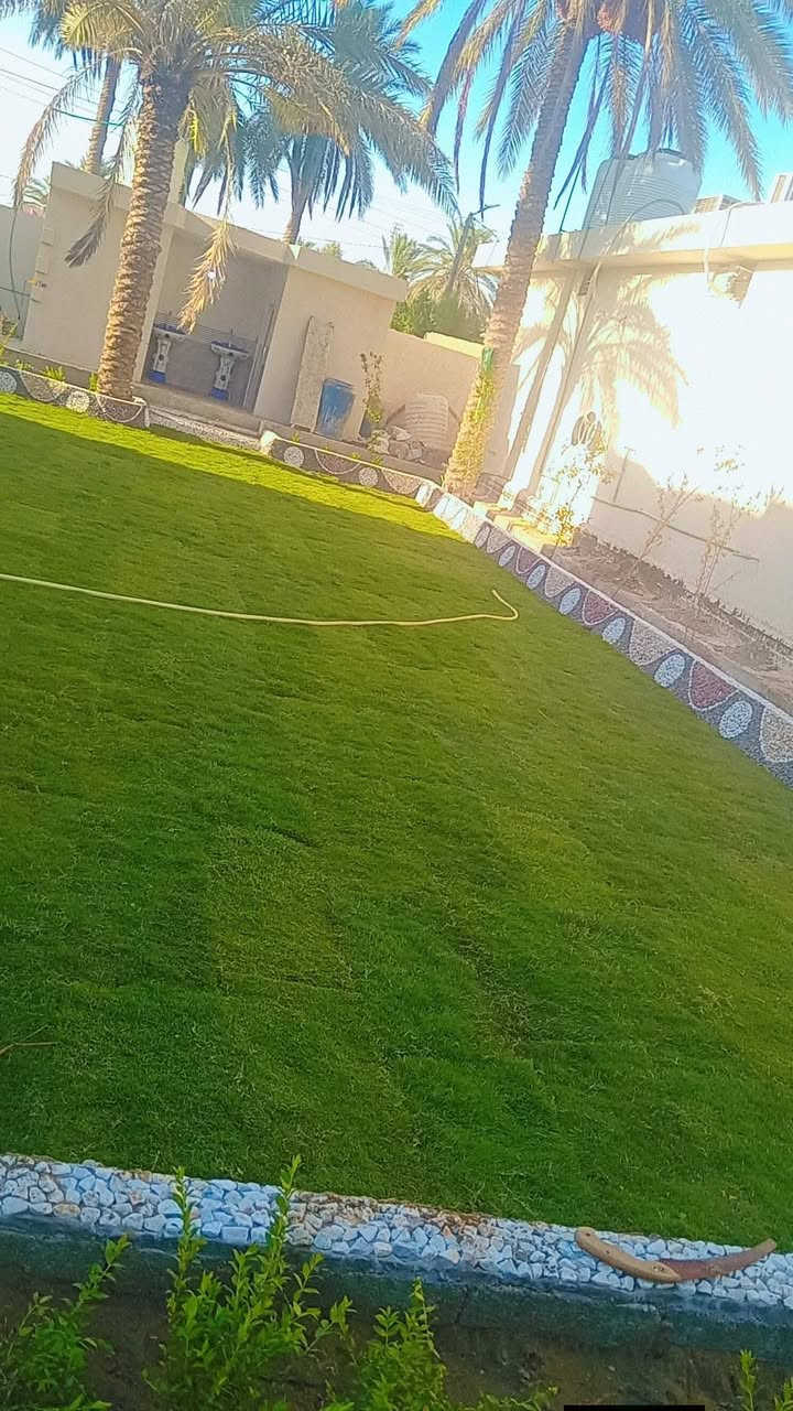 السلام عليكم كادر شغل حدايق درجه اولا عل متر كرسته وعمل المتر 25 وكطعي ناخذ وتريد المواد عليك هم يرهم وكلشي نشتغل هاذ الرقم للتواصل ***********
