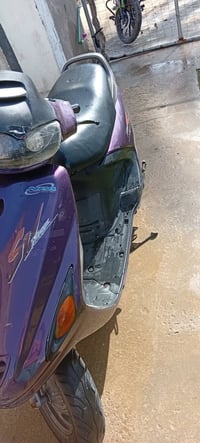 فراشه نثيه • مامفتوح • كهربائية