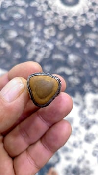 سلطاني قديم • اكسسوار • قابل تفاوض