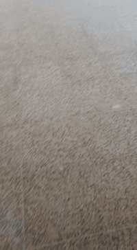 ابو احمد الفتلاوي لجلي الكاشي ومرمر طبيعي وتنظيف وتلميع كافة ارضيات رقم الهاتف ***********
