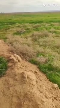 العباسي قرية الاحنف • ٤٠ دونم • ارض زراعية