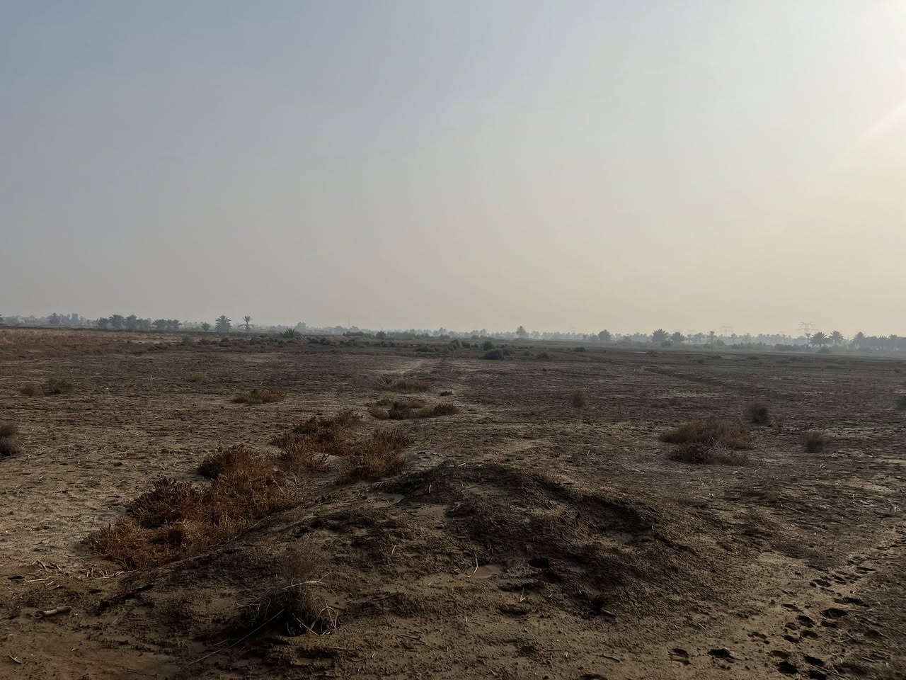 سلام عليكم عقد زراعي للبيع جديد 22 دونم 
طريق حله نجف خلف مجمع السعبري قرب جامعة الحله سعر الدونم 11 
استفسار  ***********
