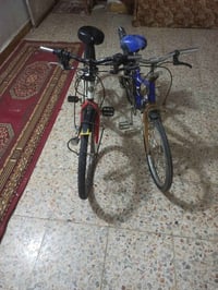 باسكلات • أزرق • أبيض