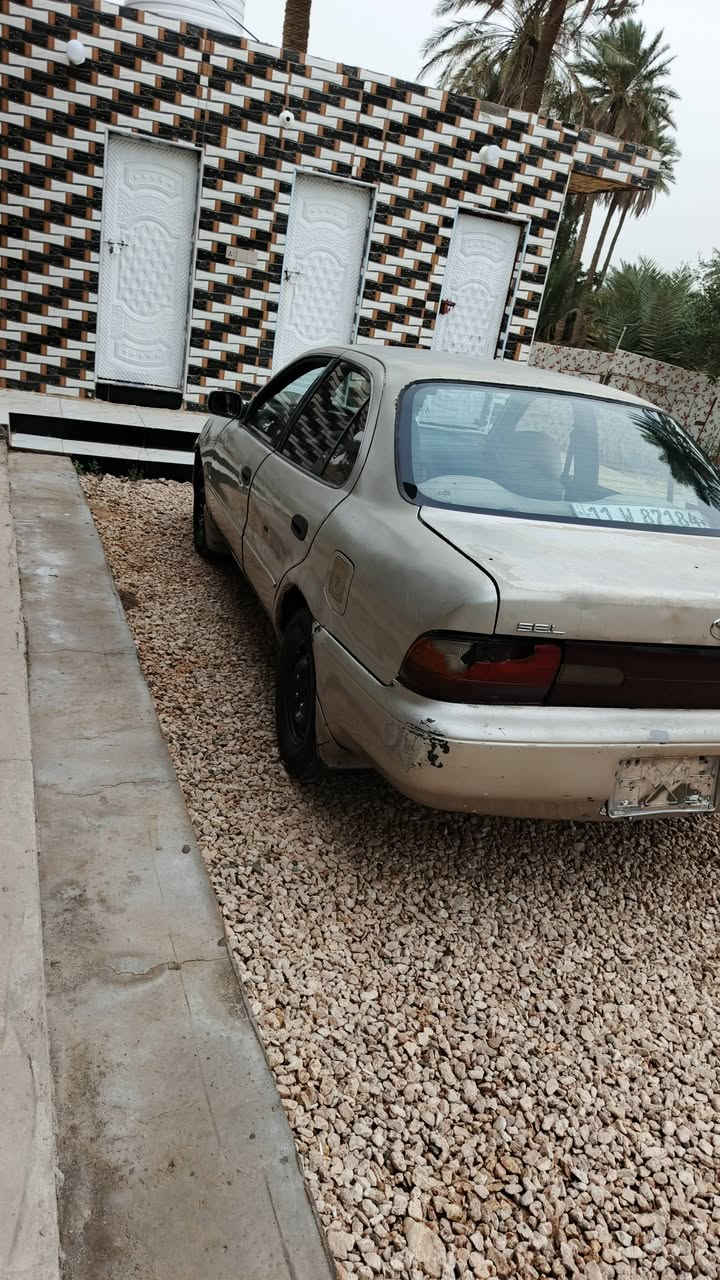 يالله كورلة مديل ٩٧ رقم بغداد بسم واحد جيرانة سنويةال٢٧ سيارة مكفولة كصة نقل جثةاومايعجبةضربة مابية سيارة بلاد صبغتة حلوة باتري جديد تخم تاير جديد تبريد كامل كبرسر وبوار عوزة غاز مكينة خط بخر (فقط) سيارة سعرة (٣٥) وبية مجال قليل رقم (***********) (***********) المكان دوانيةقضاء المهناوية
