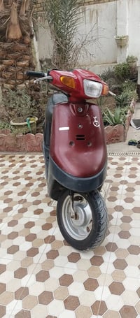 دراجة زعرة • معدل 60 • ديوانية جلبية